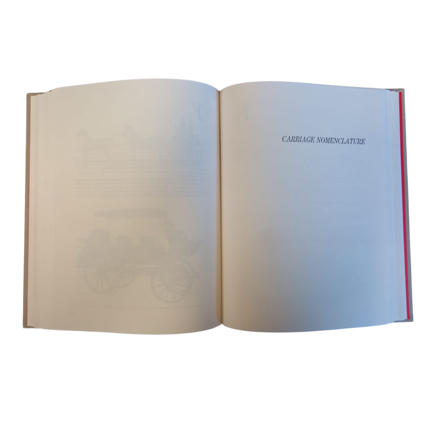 Carriage Terminology by Don Berkebile