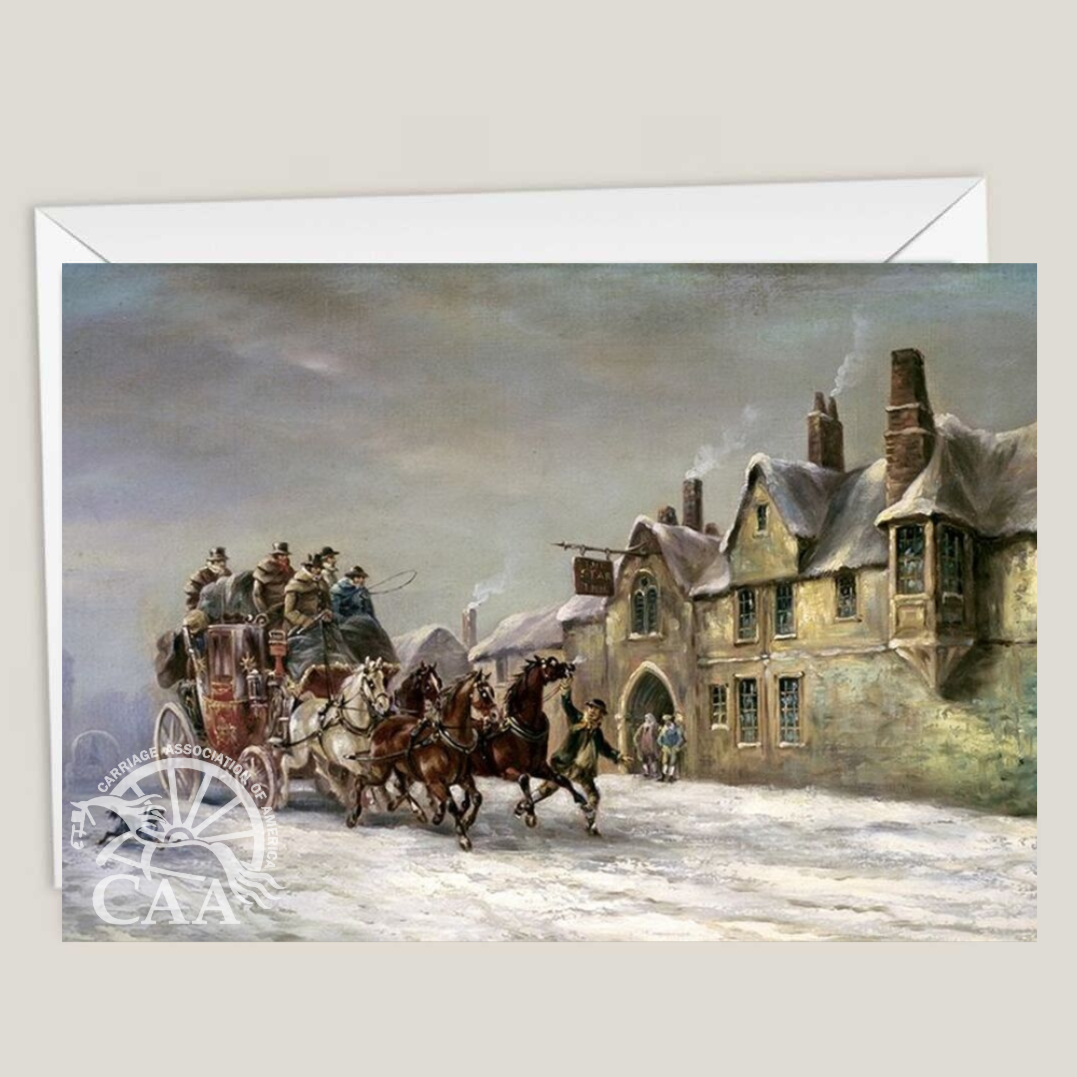 Greeting Card Boxed Set - Mixed Designs