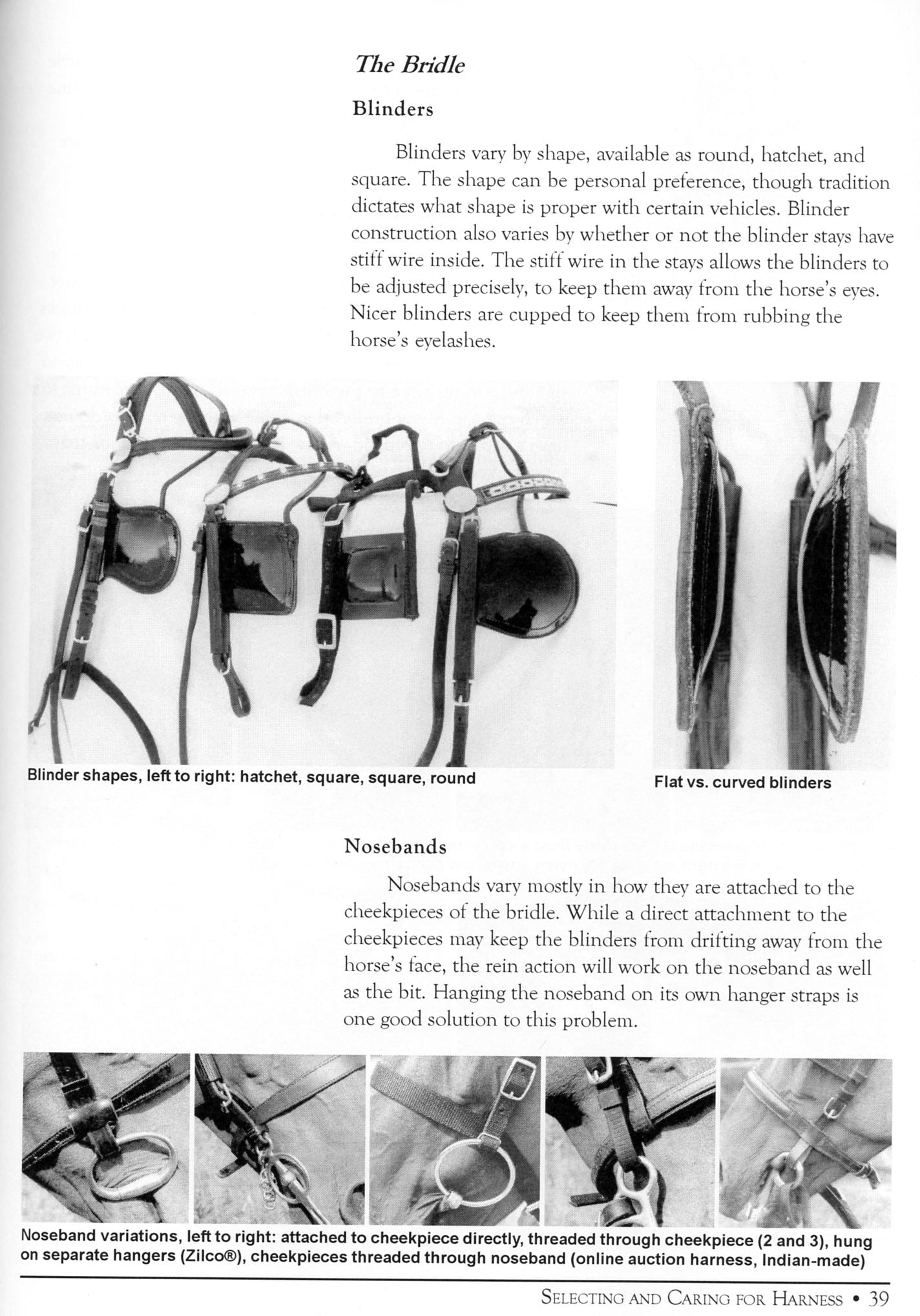 Essential Guide to Carriage Driving by Robyn Cuffey and Jaye-Allison Winkel