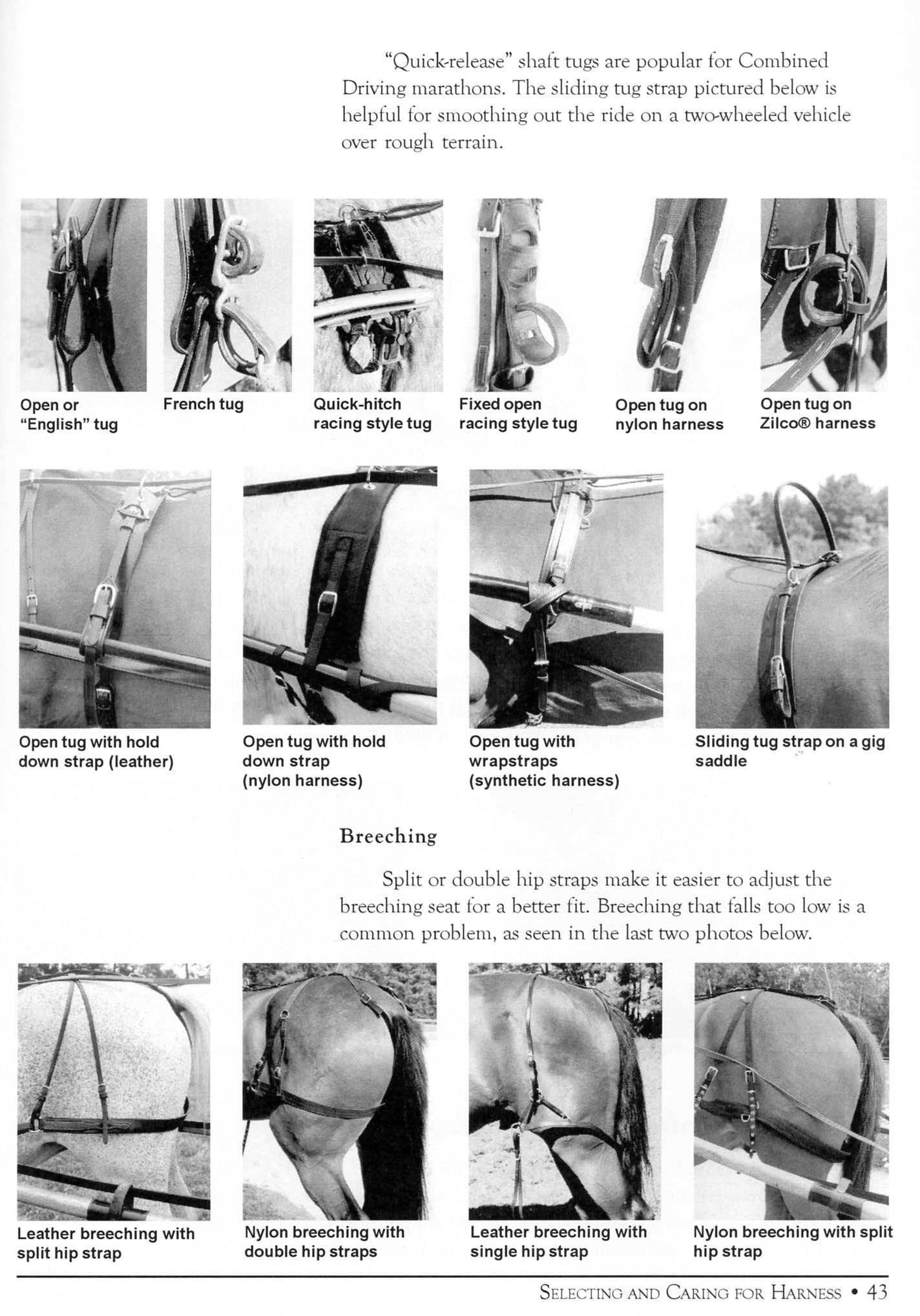 Essential Guide to Carriage Driving by Robyn Cuffey and Jaye-Allison Winkel