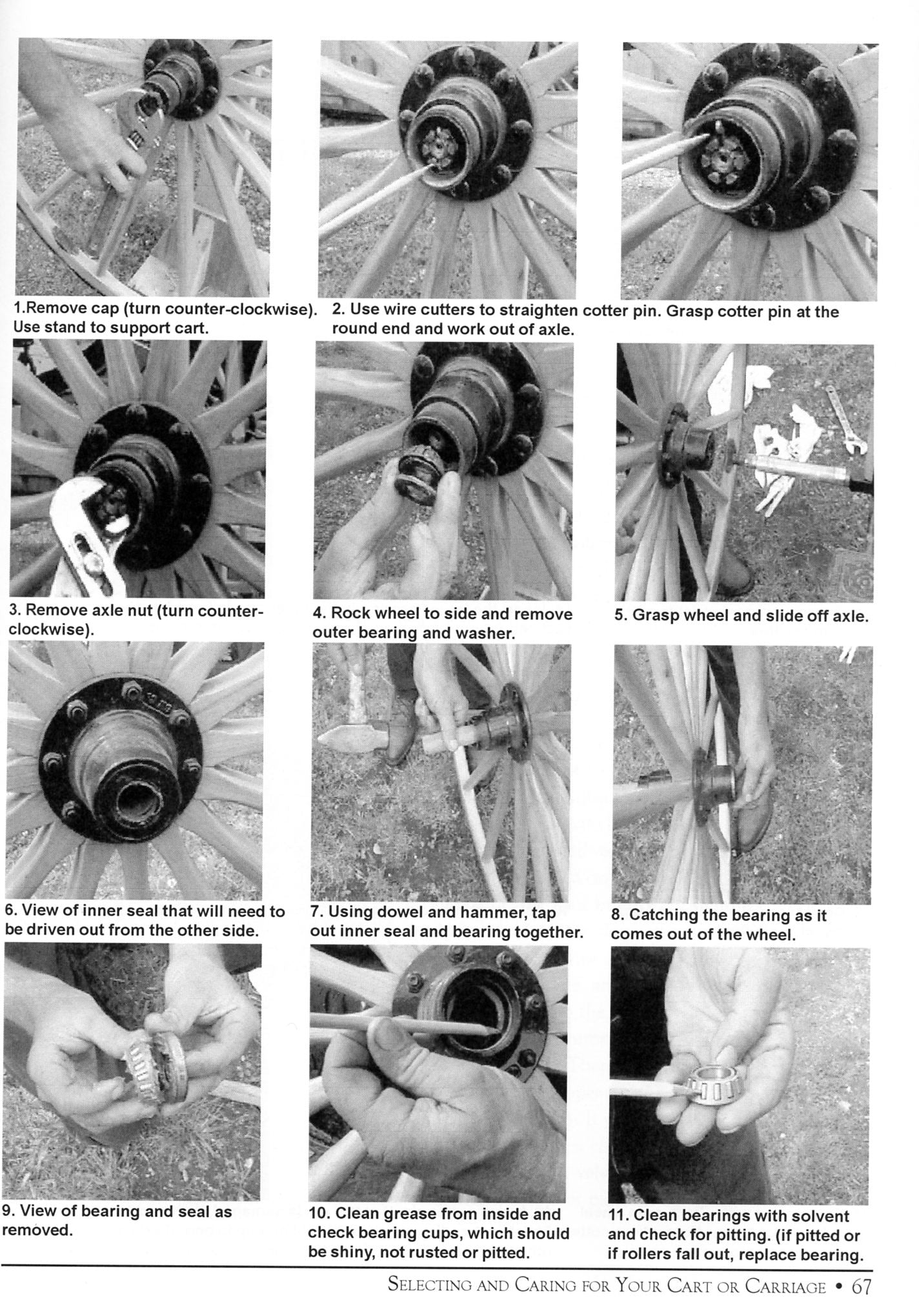 Essential Guide to Carriage Driving by Robyn Cuffey and Jaye-Allison Winkel