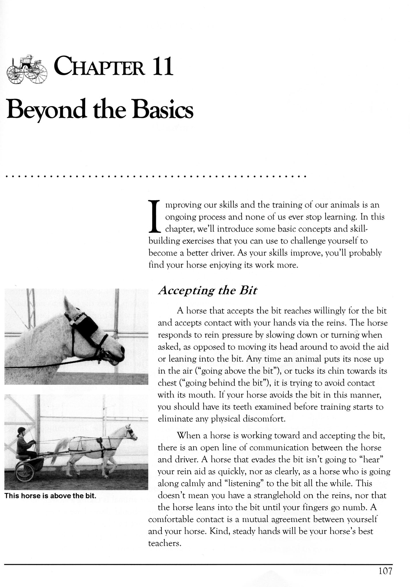 Essential Guide to Carriage Driving by Robyn Cuffey and Jaye-Allison Winkel