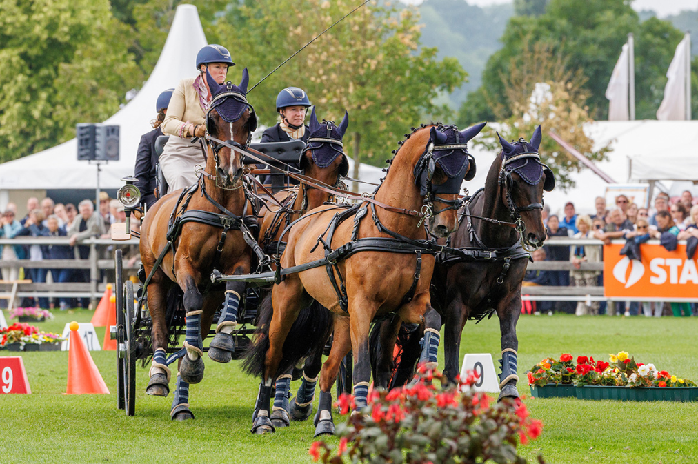 Deposit for the CAA Trip to the 2026 FEI Four-in-Hand Championships in Aachen, Germany