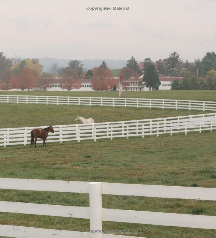 Stables: Beautiful Paddocks, Horse Barns, and Tack Rooms