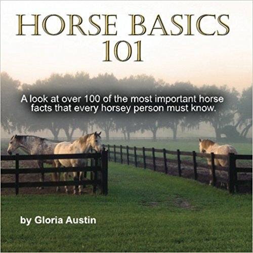 Horse Basics 101 by Gloria Austin